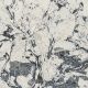 Cambria Mayfair Quartz